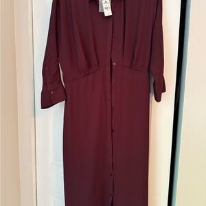 Express Deep Burgundy Long Sleeve Dress